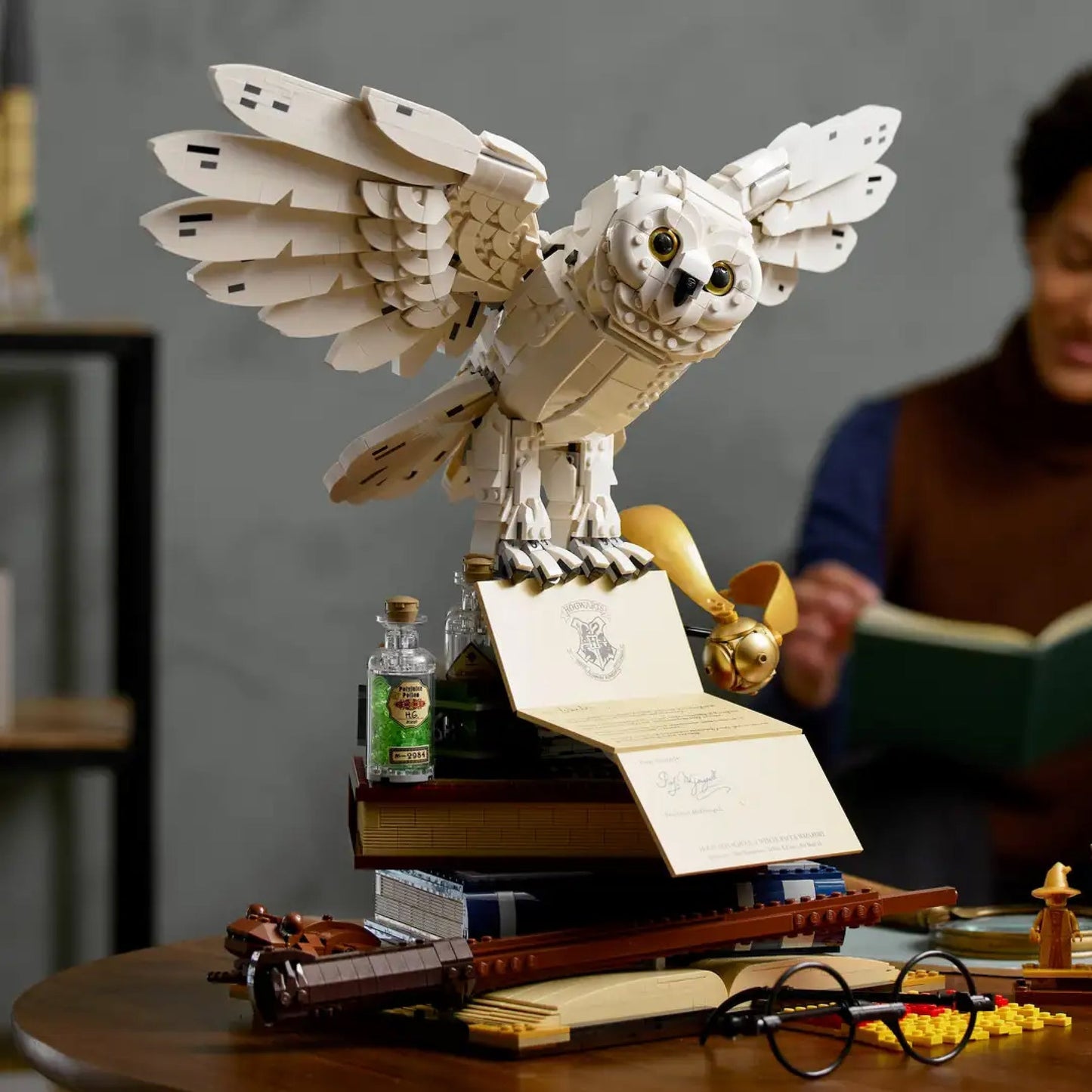 Chouette Hedwige Harry Potter (3010 pièces)